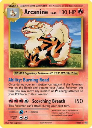 Arcanine 18/108 - XY Evolutions