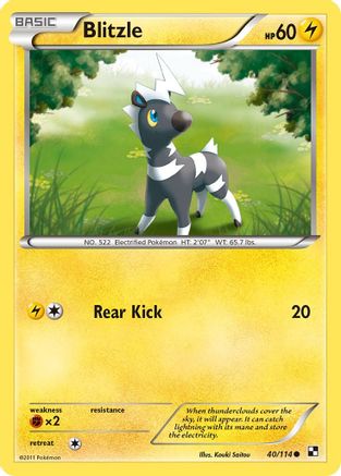 Blitzle (40) 40/114 - Black and White Reverse Holofoil
