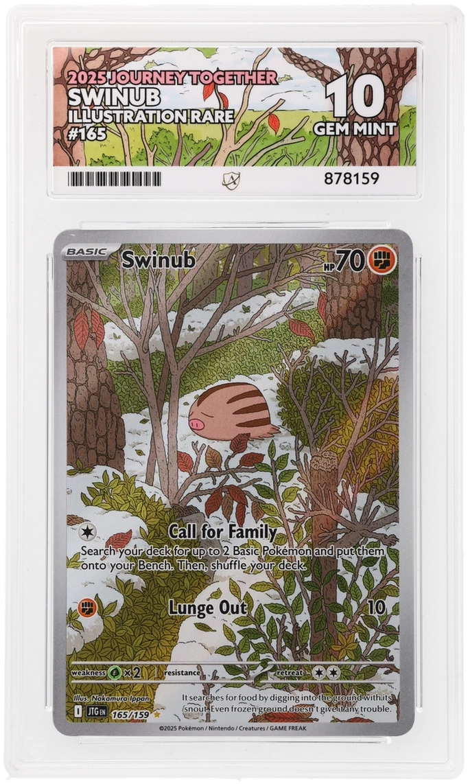 ACE 10 - Swinub - 165/159 - Journey Together - Pokemon