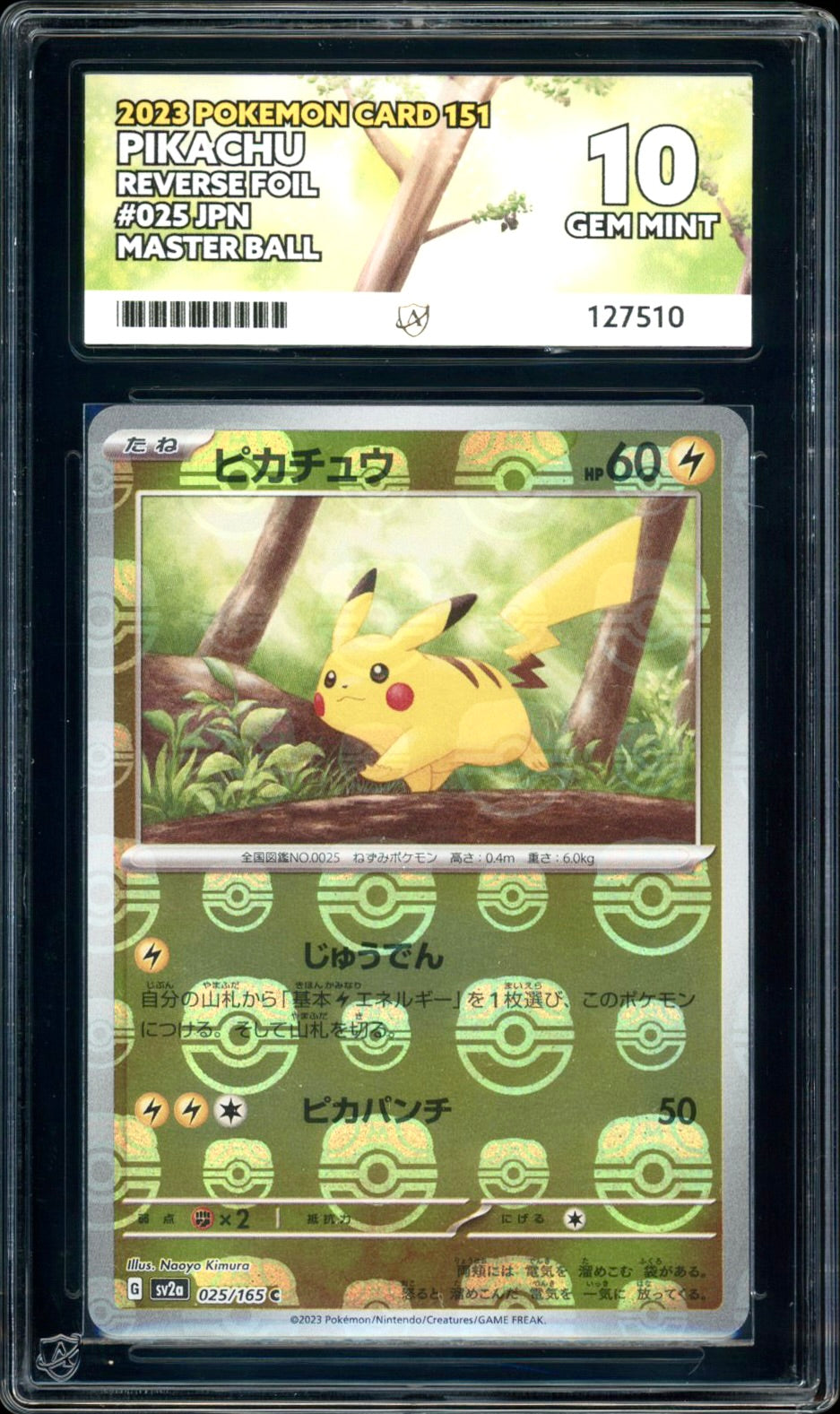 Pikachu - Master Ball Reverse Foil - 025/165 - Pokemon 151 (Japanese) PokeRand Pikachu - Master Ball Reverse Foil - 025/165 - Pokemon 151 (Japanese) PokeRand