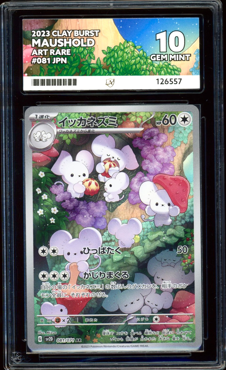 Maushold 081/071 (Clay Burst) ACE 10 PokeRand Maushold 081/071 (Clay Burst) ACE 10 PokeRand