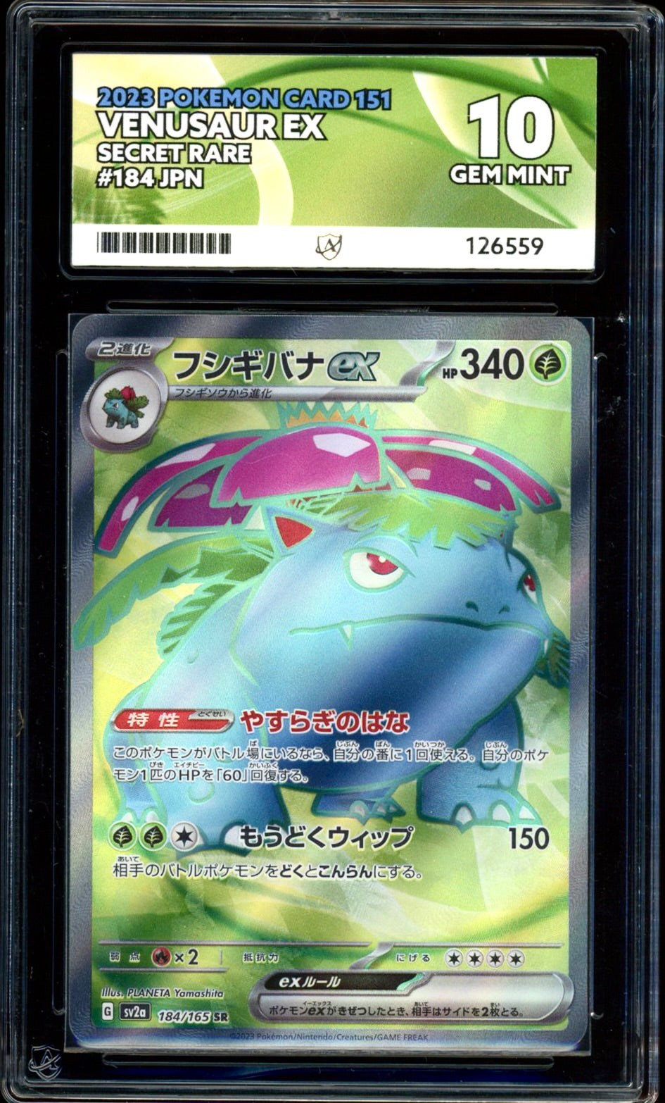 Venusaur ex 184/165 (Pokemon 151 JPN) ACE 10 PokeRand Venusaur ex 184/165 (Pokemon 151 JPN) ACE 10 PokeRand