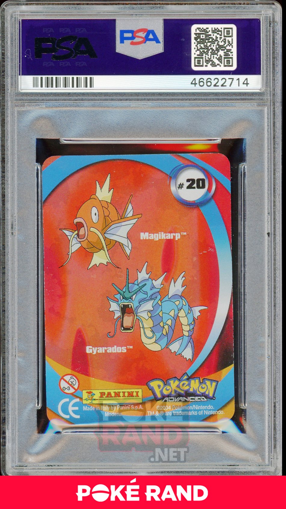 GYARADOS/MAGIKARP PSA 6 - Advanced Action - PokeRand