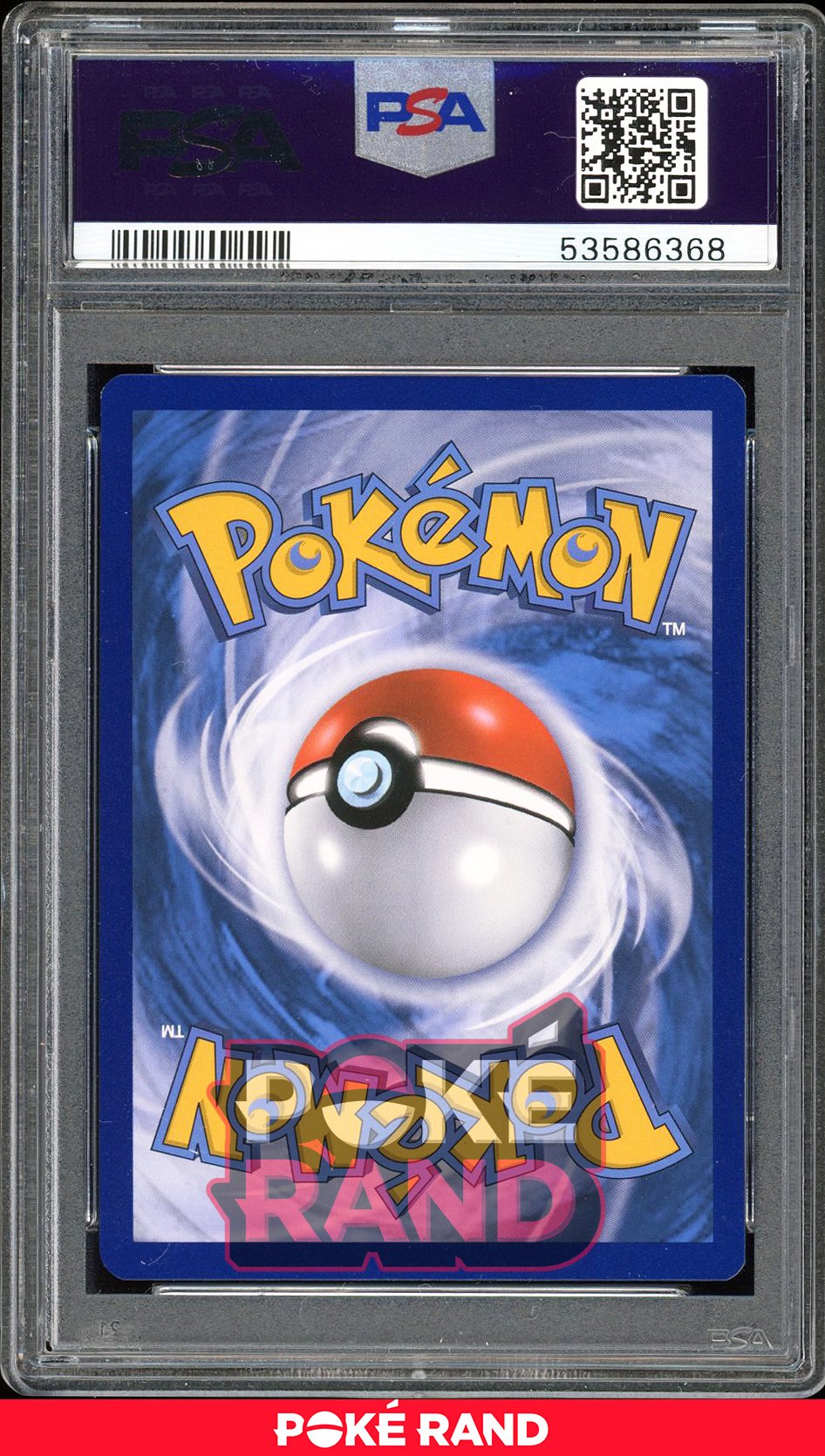 M Venusaur Ex - PSA 10 - Evolutions - #100 - Holo