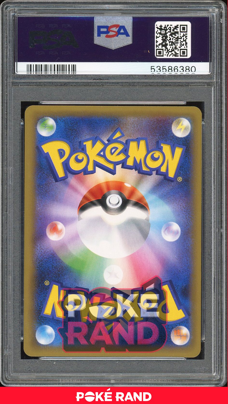 Charizard - PSA 10 - CP6 - #11 - Holo