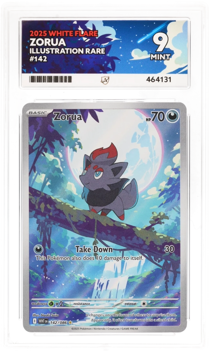 Zorua - ACE 9  