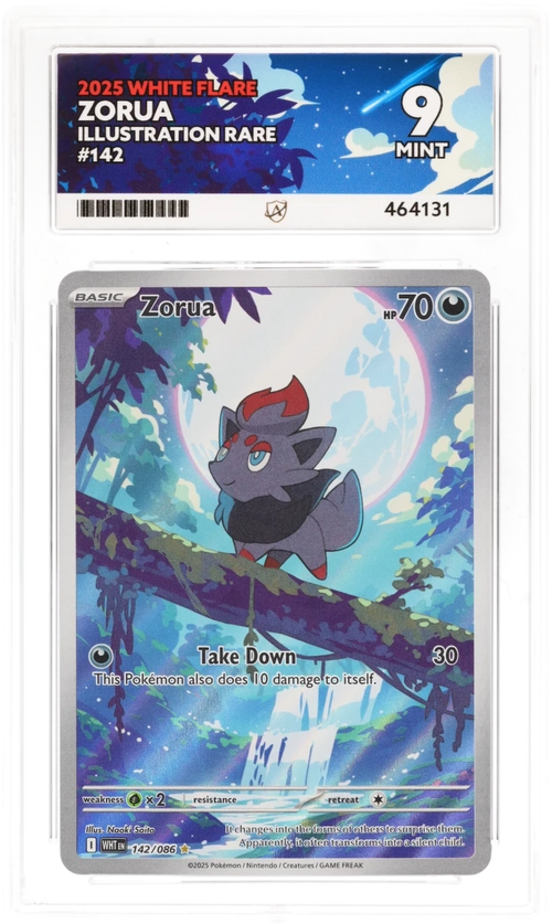 Zorua - ACE 9  
