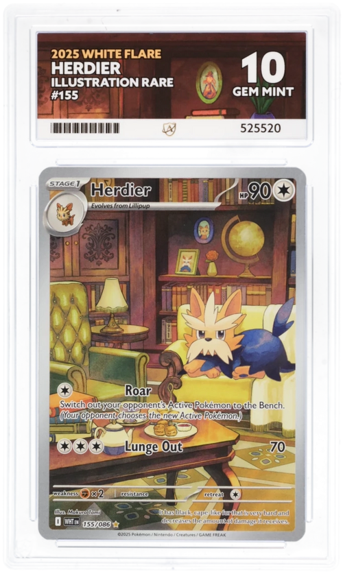 ACE 10 - Herdier - 155/086 - White Flare - Pokemon