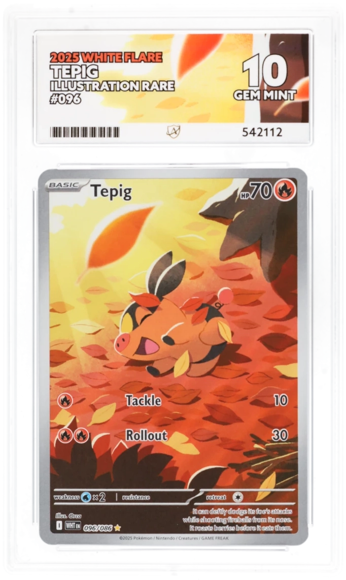 Tepig IR 69/86 - Ace 10 - White Flare