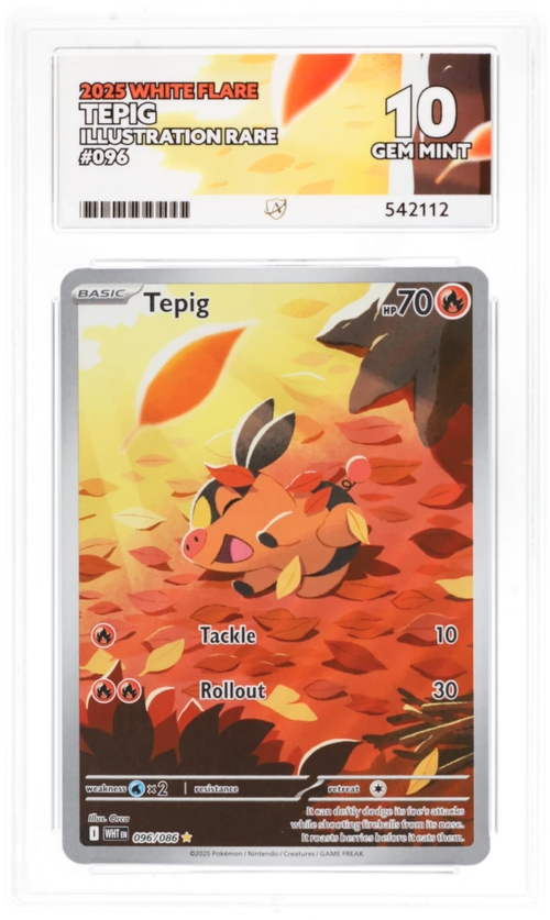Tepig IR 69/86 - Ace 10 - White Flare