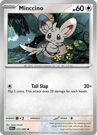 Minccino 75 - SV Black Bolt