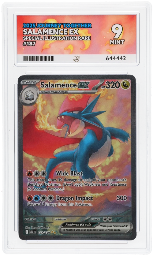 Salamence ex - ACE 9   (Front)
