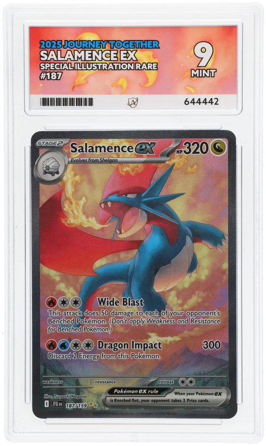 Salamence ex - ACE 9   (Front)