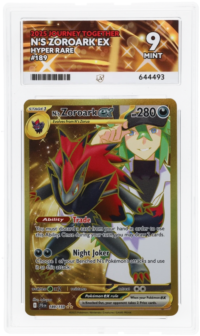N's Zoroark ex - ACE 9   (Front)