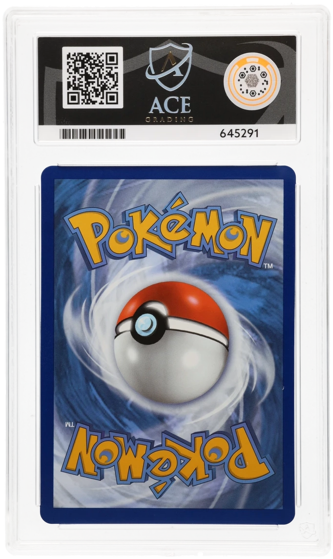 Blaziken VMAX - ACE 10   (Back)