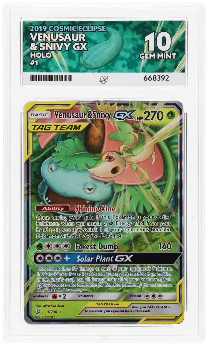 Venusaur & Snivy GX - ACE 10   (Front)