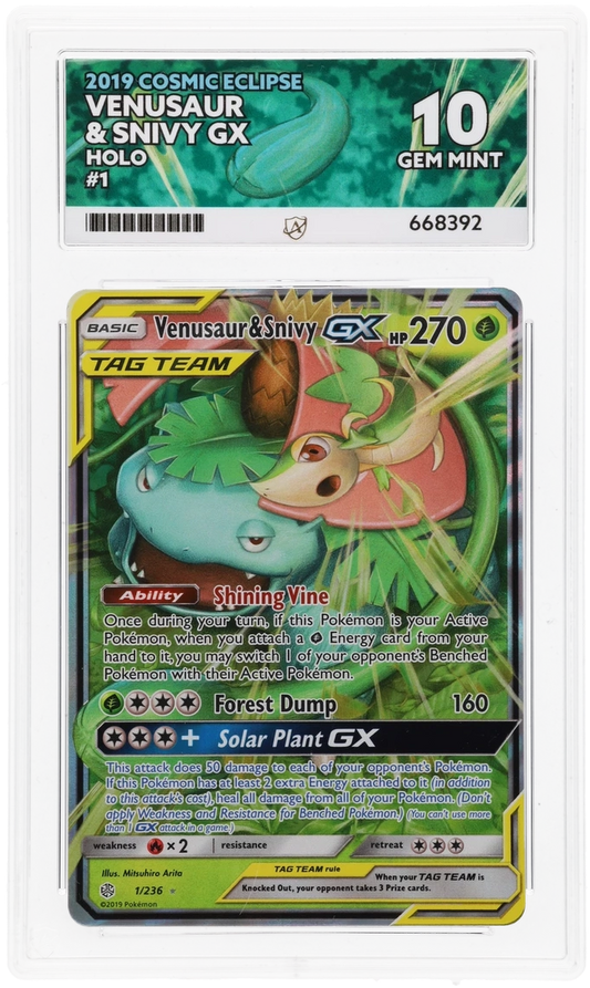 Venusaur & Snivy GX - ACE 10   (Front)