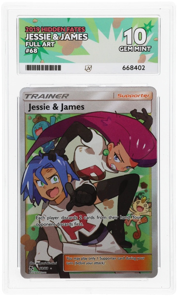 jessie james pokemon card ACE 10 - & - 68/68 - Hidden Fates Art:Eirdu Sephara What to do if Squirrel's Nest Print