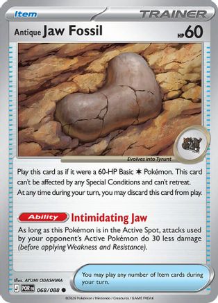 Antique Jaw Fossil 68 - ME03 Perfect Order