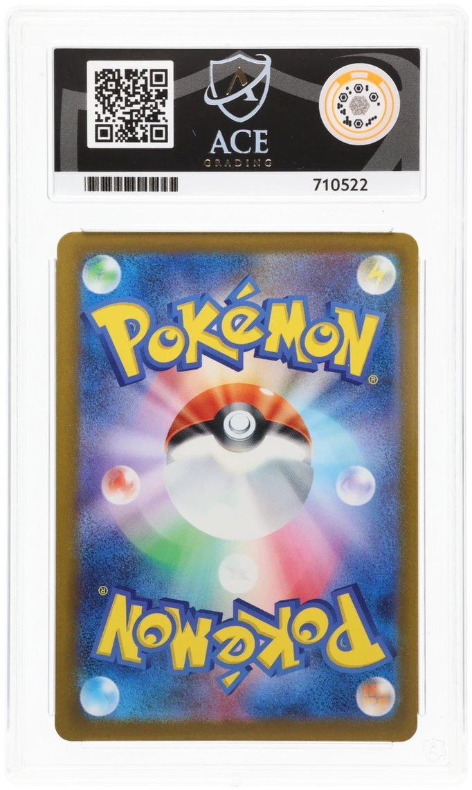 N's Zoroark ex - ACE 10   (Back)