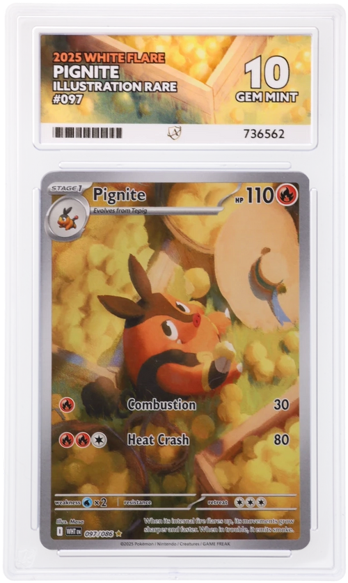 ACE 10 - Pignite - 097/086 - White Flare - Pokemon