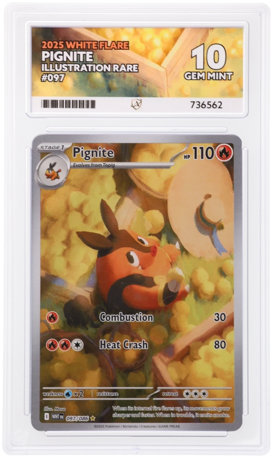 ACE 10 - Pignite - 097/086 - White Flare - Pokemon
