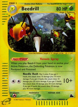 Beedrill (H4) H4/144 - Skyridge Holofoil