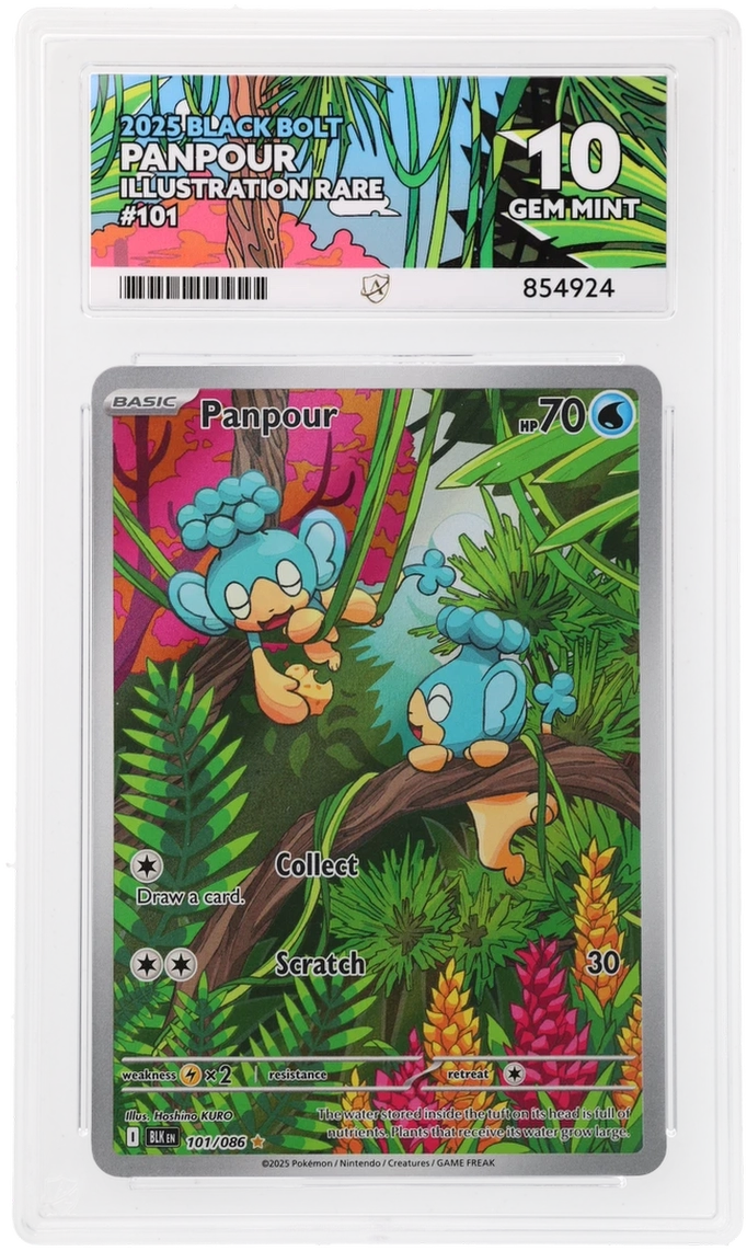 ACE 10 - Panpour - 101/086 - Black Bolt - Pokemon
