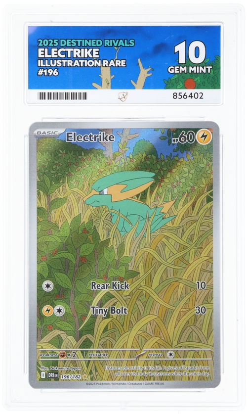 ACE 10 - Electrike - 196/182 - Destined Rivals - Pokemon