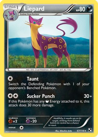 Liepard 67/114 - Black & White Reverse Holofoil