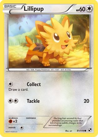Lillipup 81/114 - Black & White