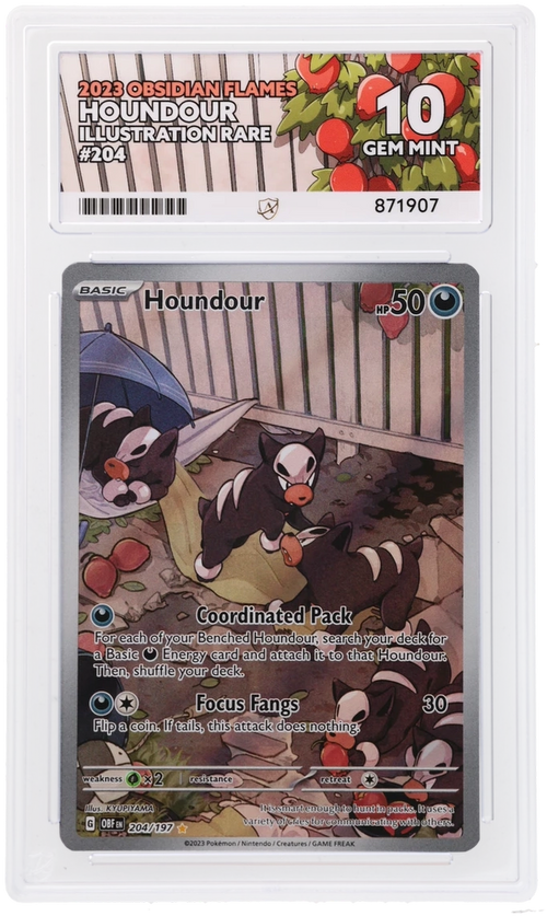 ACE 10 - Houndour - 204/197 - Obsidian Flames - Pokemon