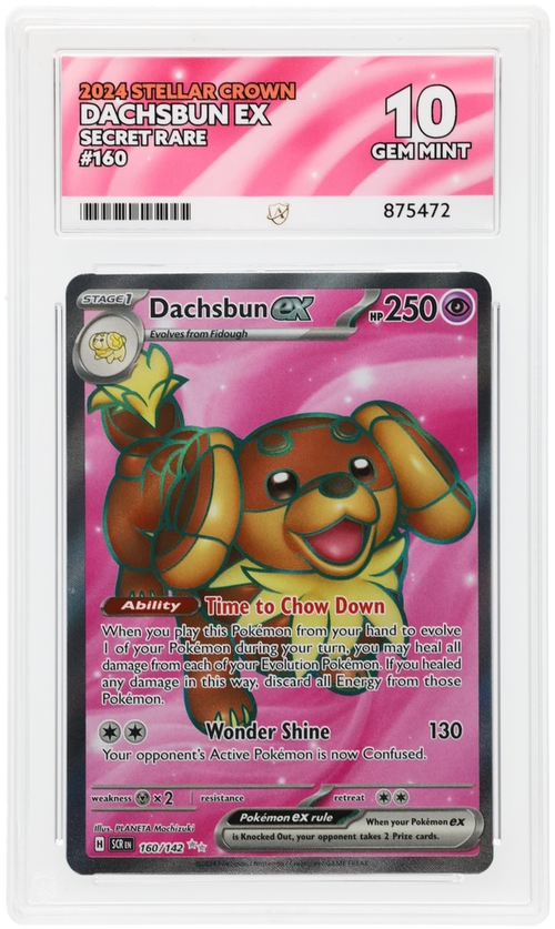 ACE 10 - Dachsbun ex - 160/142 - Stellar Crown - Pokemon
