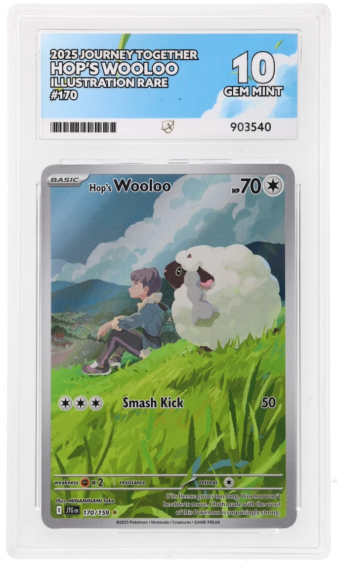 ACE 10 - Hop's Wooloo - 170/159 - Journey Together - Pokemon