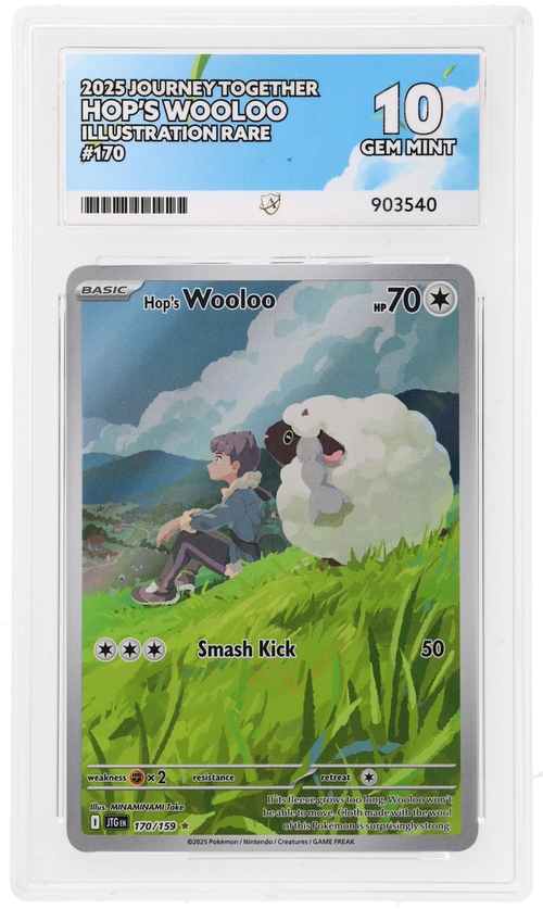 ACE 10 - Hop's Wooloo - 170/159 - Journey Together - Pokemon