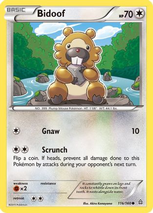 Bidoof 116/160 - XY  Primal Clash Reverse Holofoil