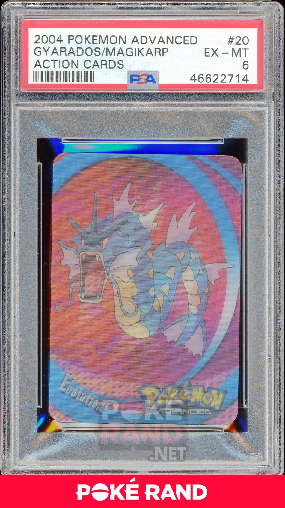 GYARADOS/MAGIKARP PSA 6 - Advanced Action - PokeRand
