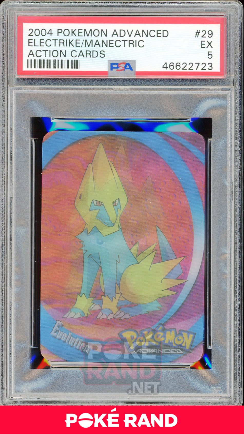 ELECTRIKE/MANECTRIC PSA 5 - Advanced Action - PokeRand