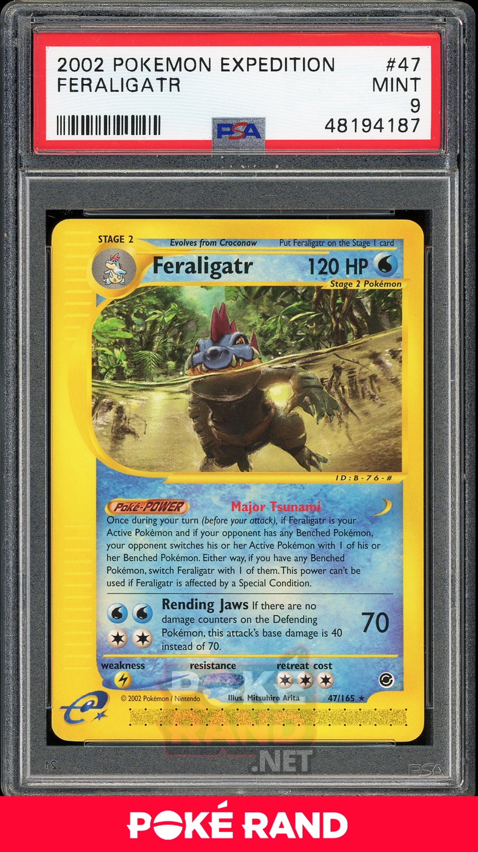 Feraligatr (PSA 9) - Expedition #47