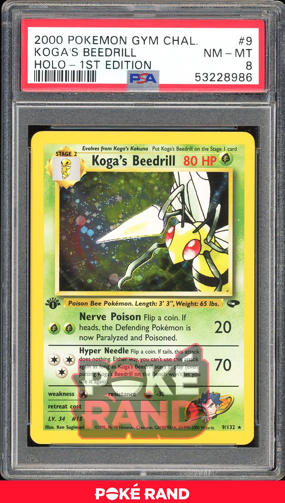 Koga'S Beedrill 1St Edition - PSA 8 - Gym Challenge - #9 - Holo
