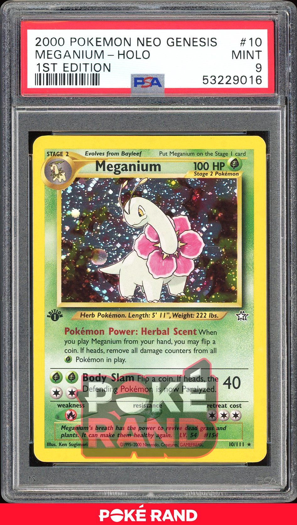 Meganium 1St Edition - PSA 9 - Neo Genesis - #10 - Holo