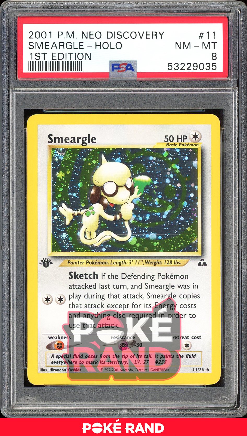 Smeargle 1St Edition - PSA 8 - Neo Discovery - #11 - Holo