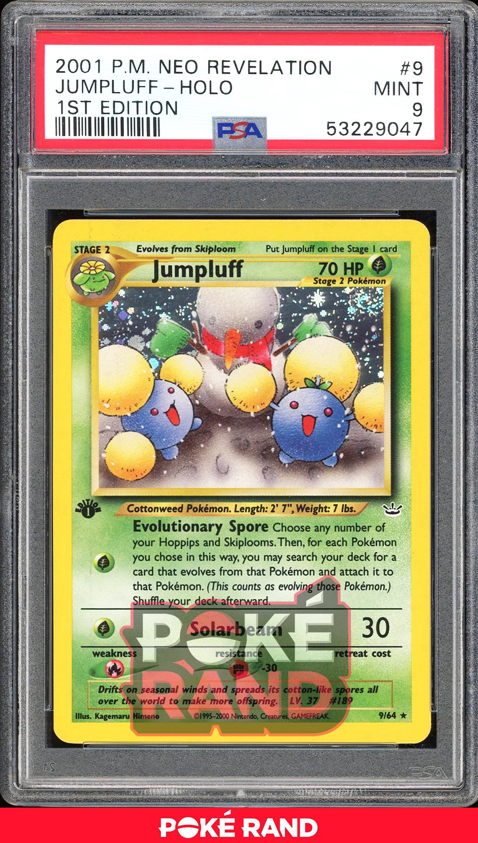 Jumpluff 1St Edition - PSA 9 - Neo Revelation - #9 - Holo