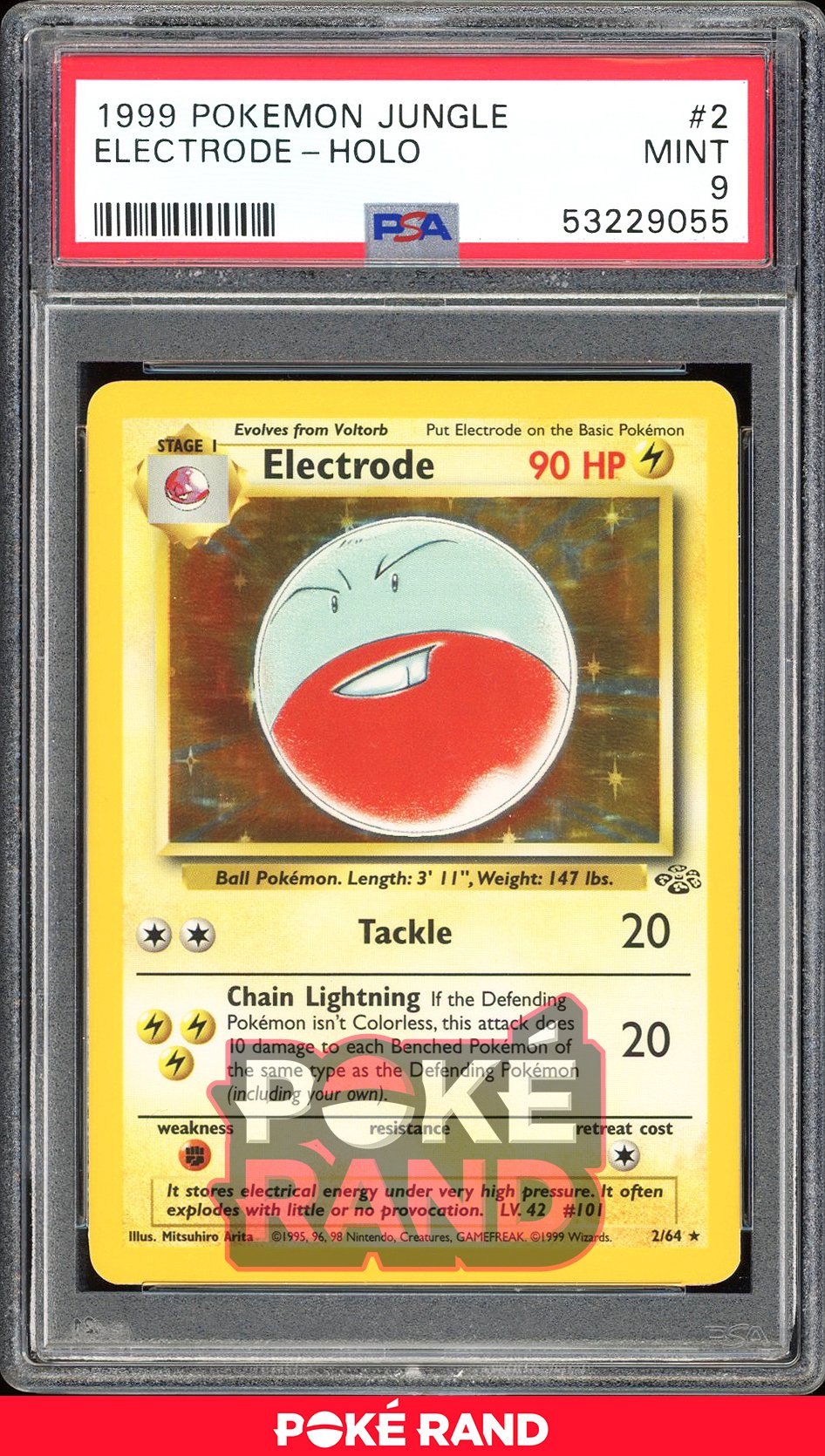 Electrode  - PSA 9 - Jungle - #2 - Holo