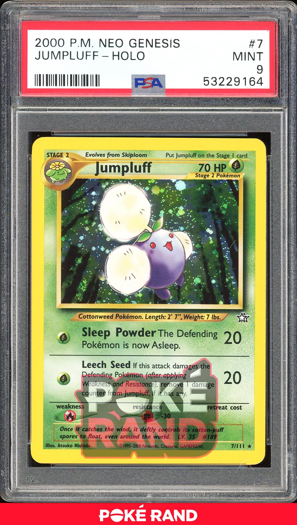 Jumpluff  - PSA 9 - Neo Genesis - #7 - Holo