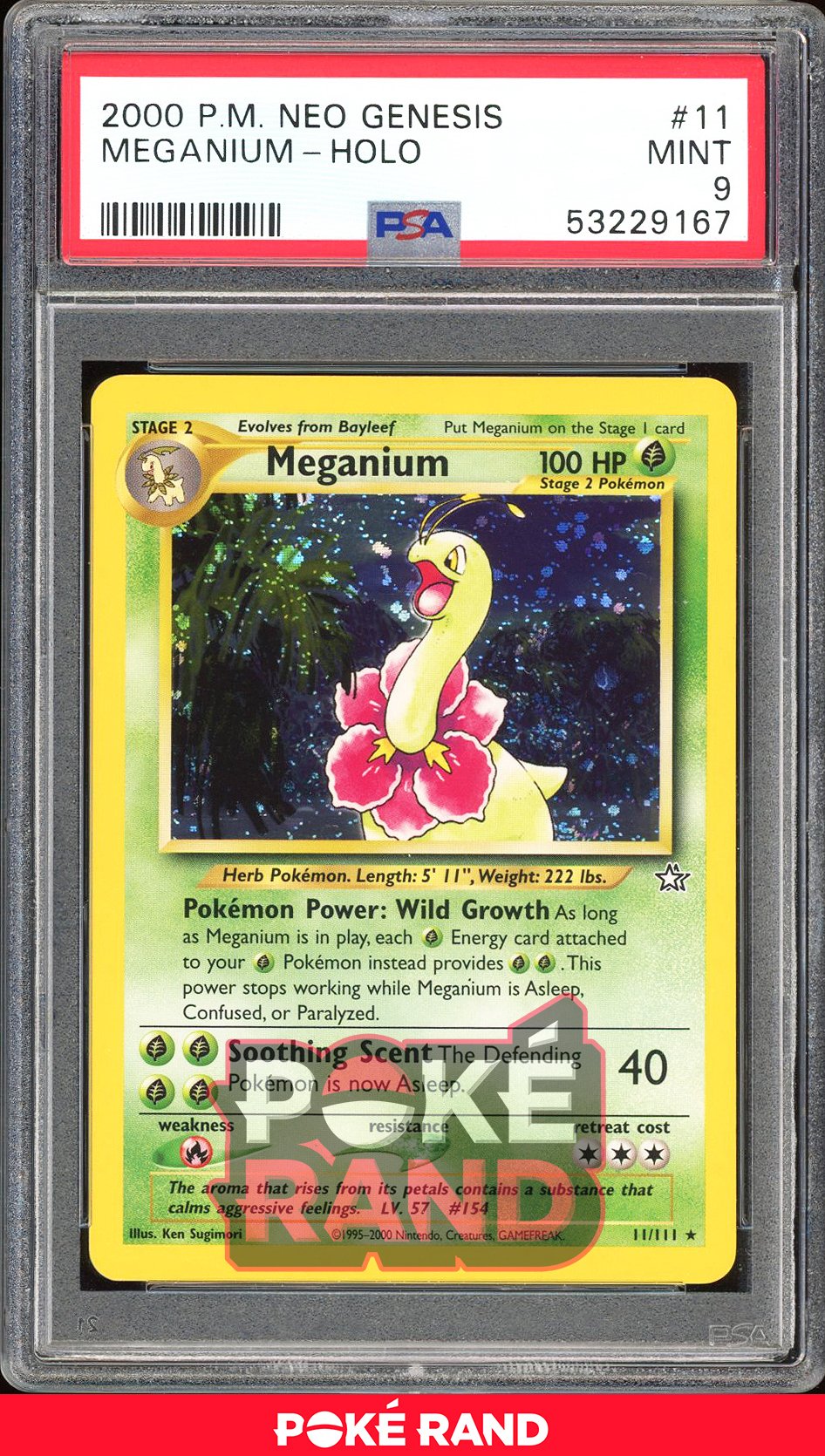 Meganium  - PSA 9 - Neo Genesis - #11 - Holo
