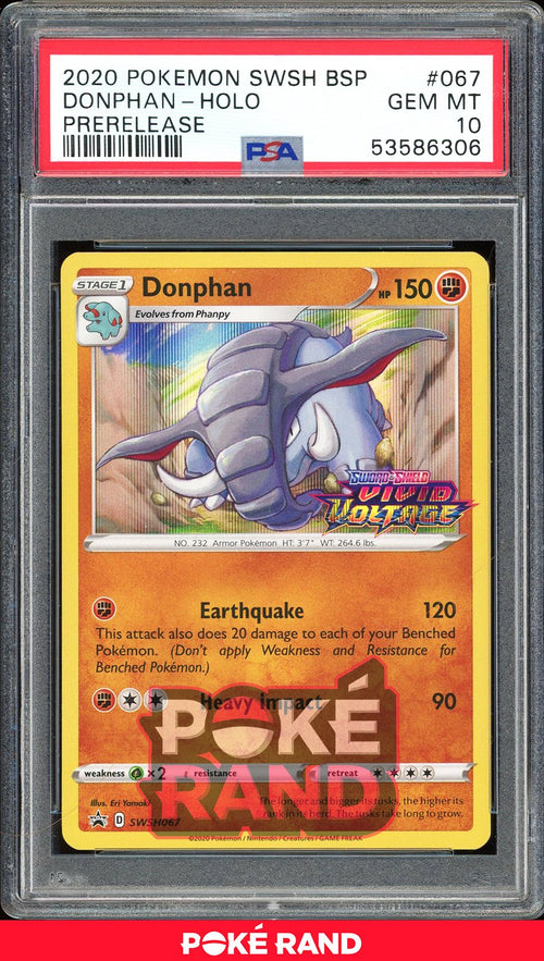 Donphan  - PSA 10 - Black Star Promo - #67 - Holo