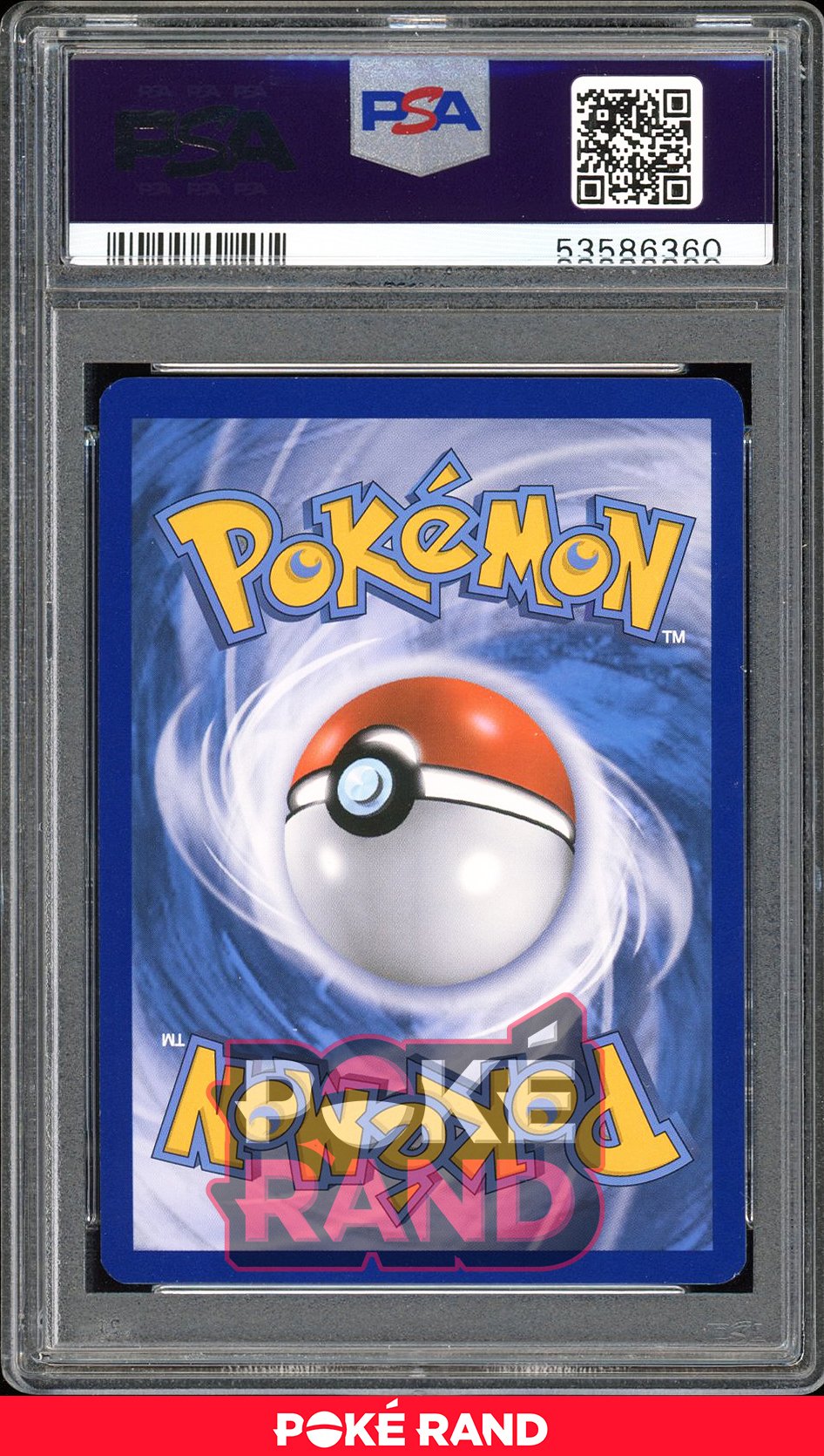 Gyarados  - PSA 9 - Evolutions - #34 - Holo