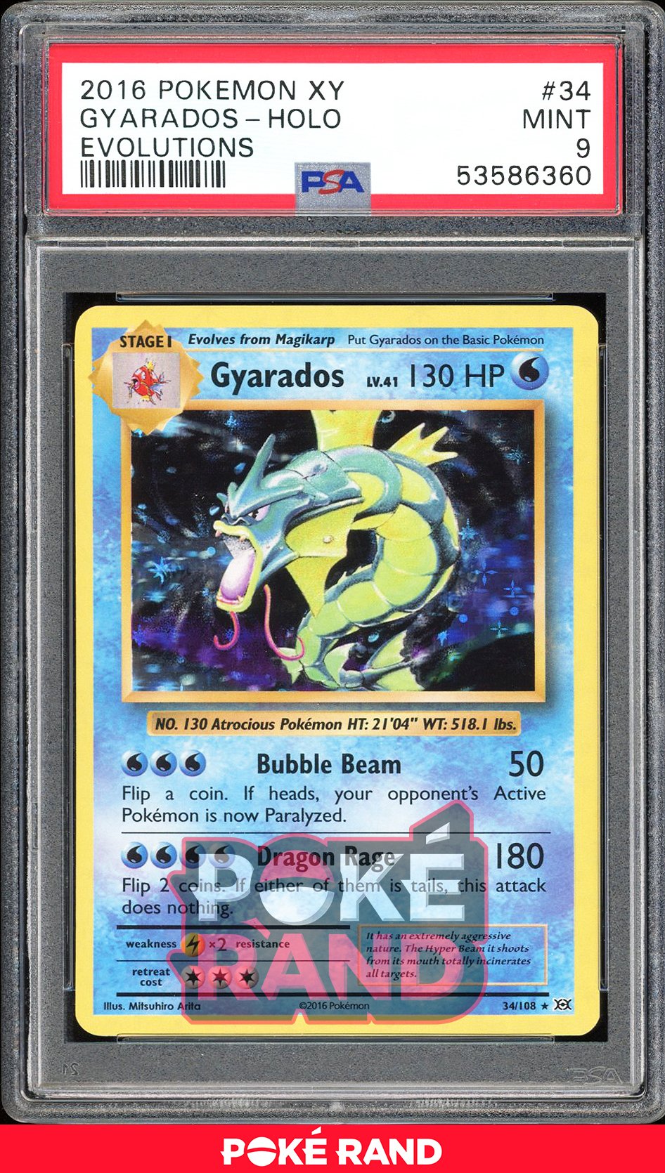Gyarados  - PSA 9 - Evolutions - #34 - Holo