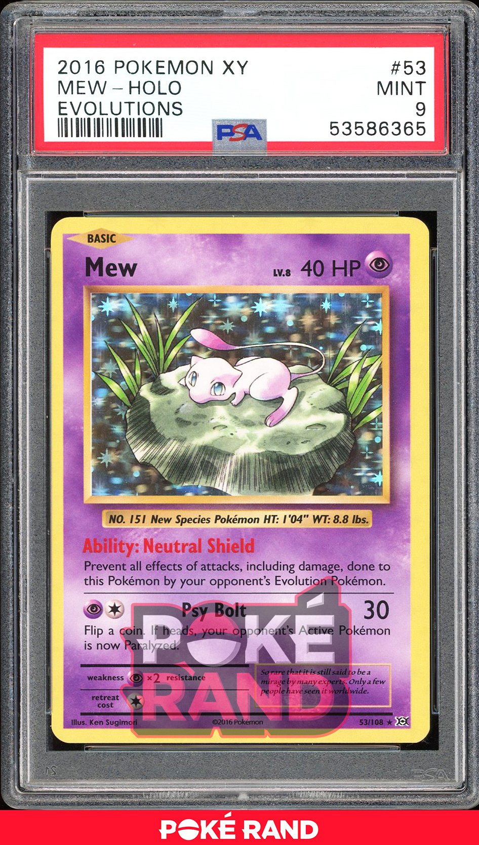 Mew Holo  - PSA 9 - Evolutions - #53 - Holo